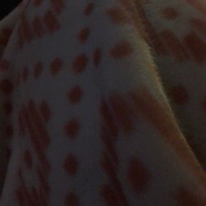 Meet your Posher, Jess